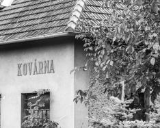 Náhodný výběr z galerie